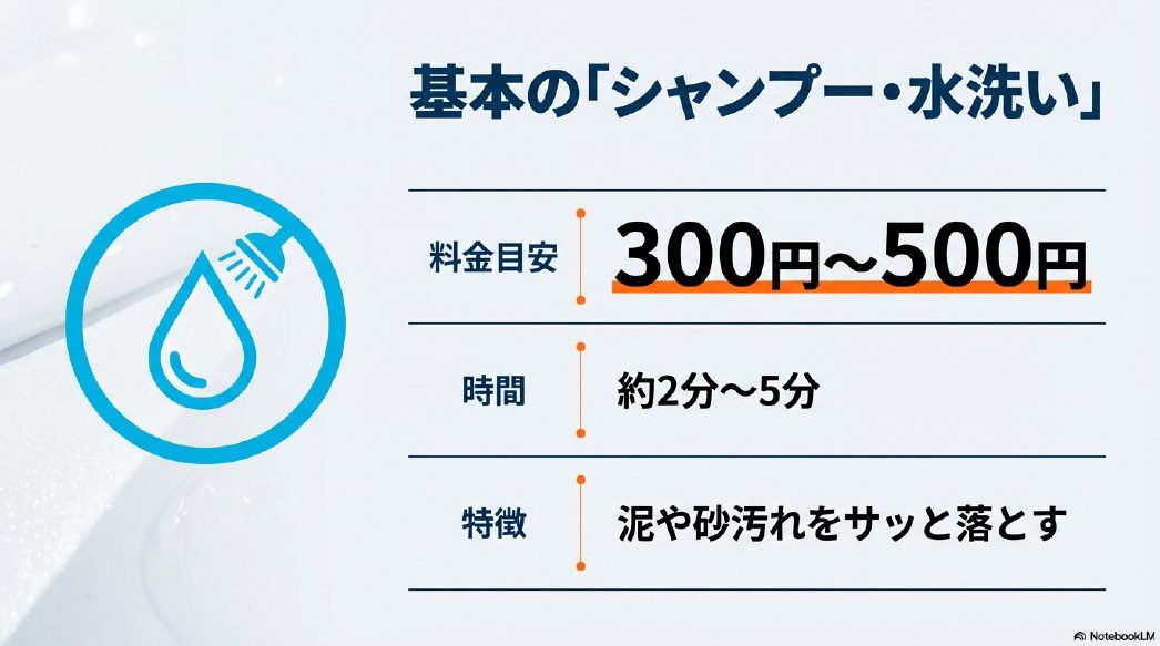 料金目安300円から500円で泥や砂汚れをサッと落とす基本のシャンプー・水洗いメニューの特徴